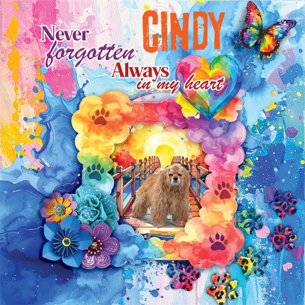 Cindy.jpg