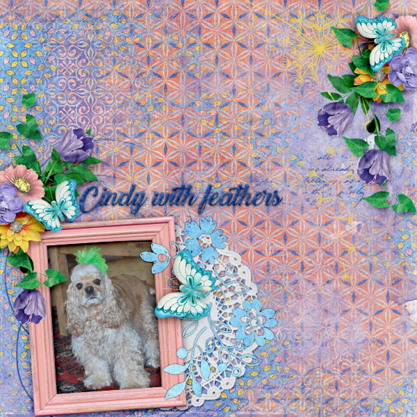 Cindy-with-feathers