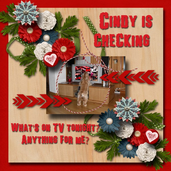 Cindy_is_checking