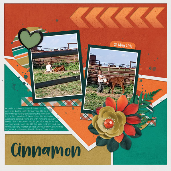 Cinnamon