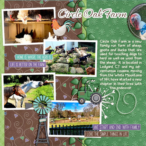 Circle Oak Farm