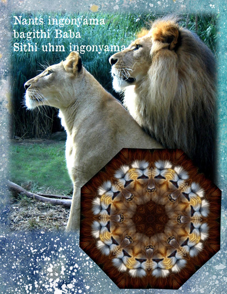 Circle of Life