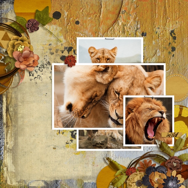 Circle of life