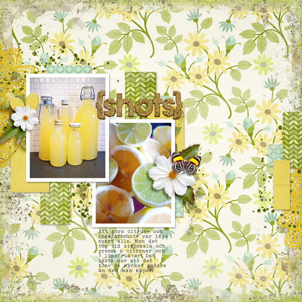 Citrus and ginger shots