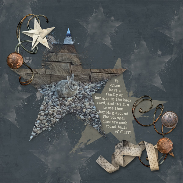 CKI-starbrushes_MyBoy-KatL