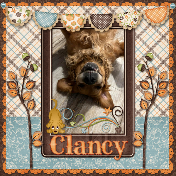Clancy gotcha 2023