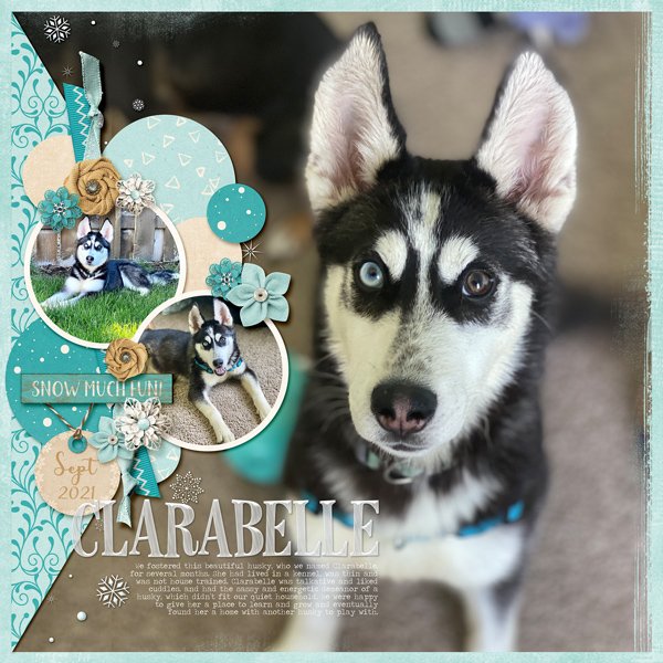 Clarabelle