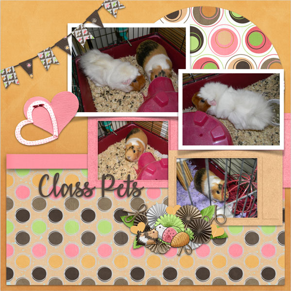 Class Pets
