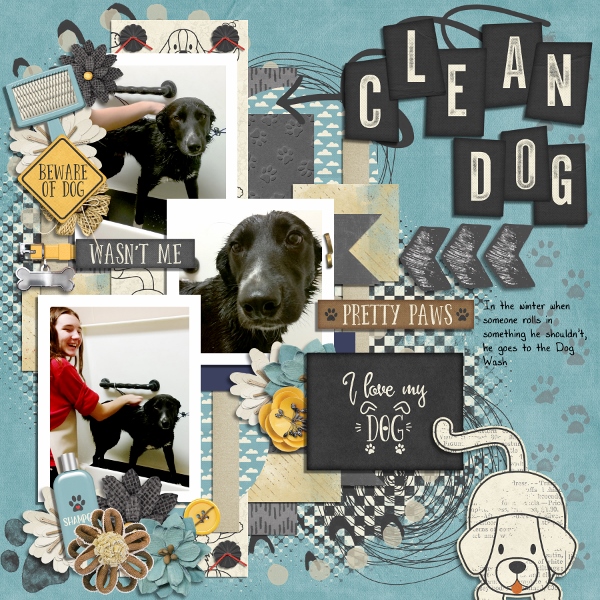 Clean Dog