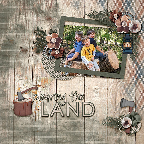 Clearing the Land