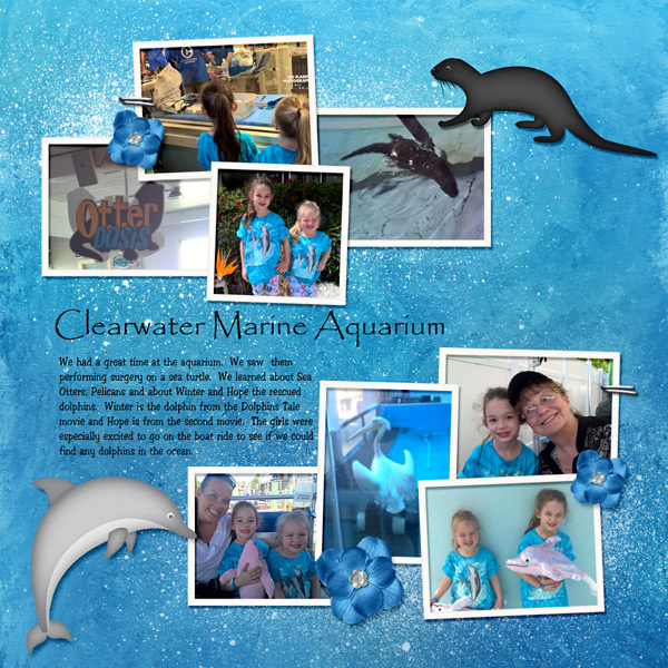 Clearwater Marine Aquarium