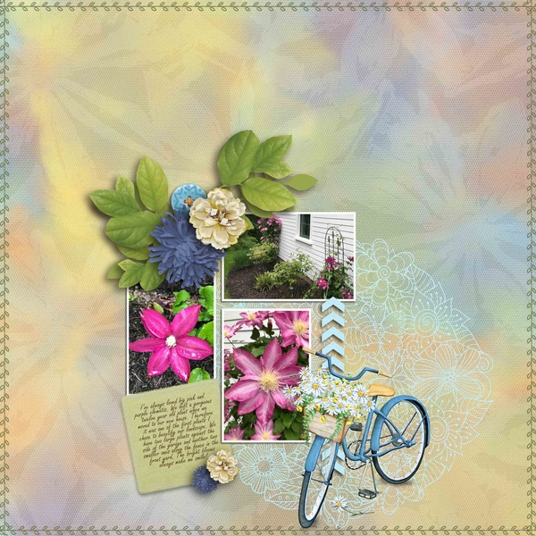 Clematis in the Garden