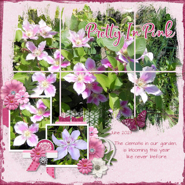 Clematis