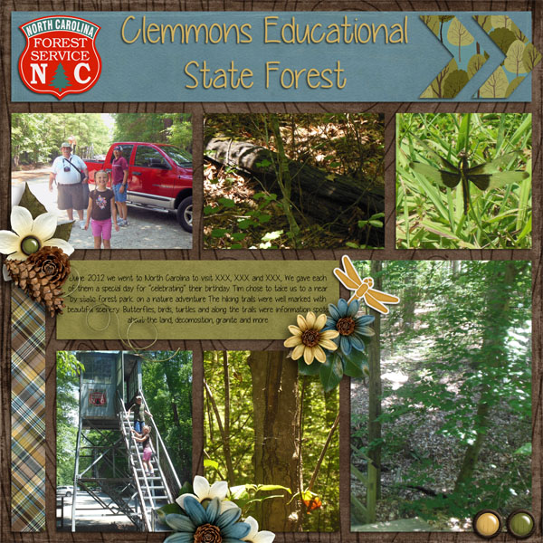Clemmons State Forest pg 1