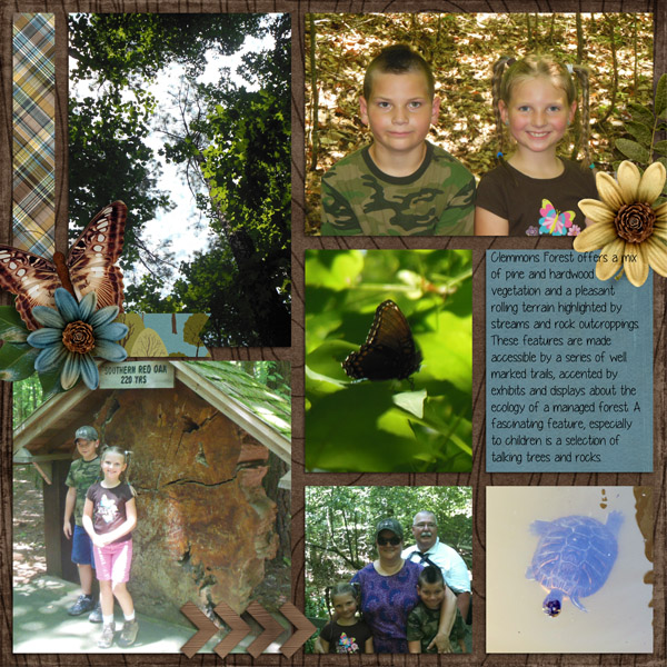 Clemmons State Forest pg 2