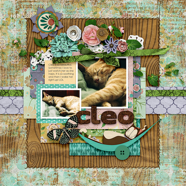 Cleo