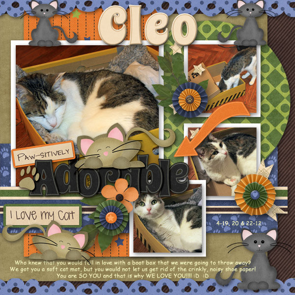 Cleo's Shoe Box