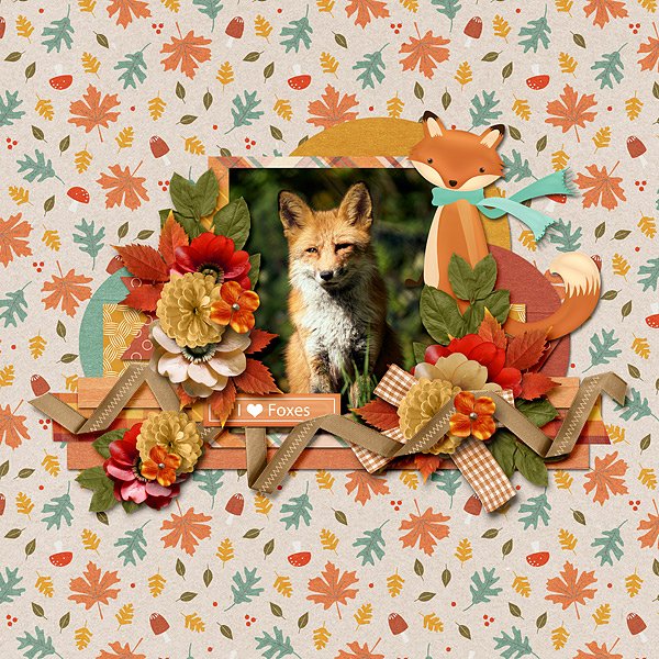 clever mr fox