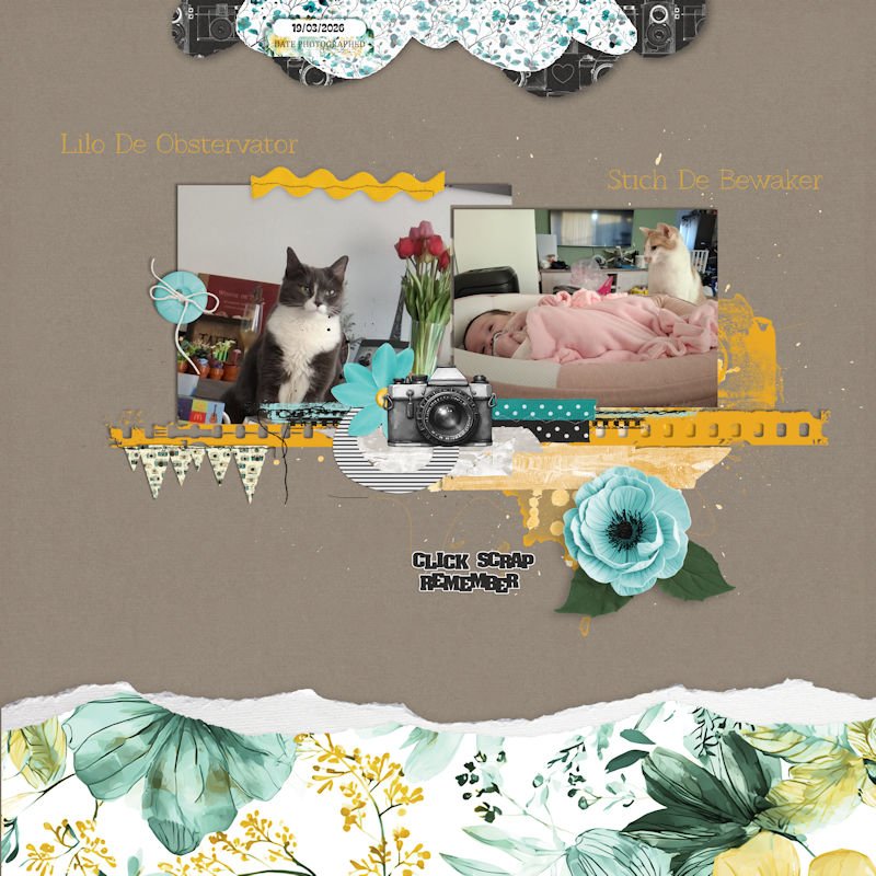 Click Scrap Remember