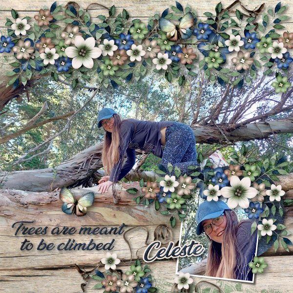 climbing tree