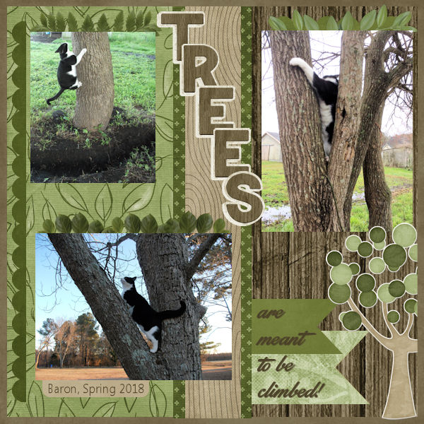 Climbing Trees