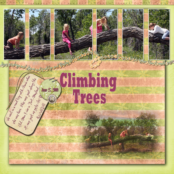 Climbing Trees