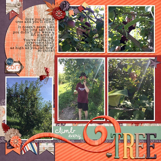 climbing_apple_trees