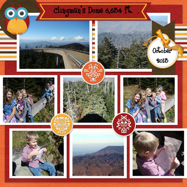 Clingman's Dome