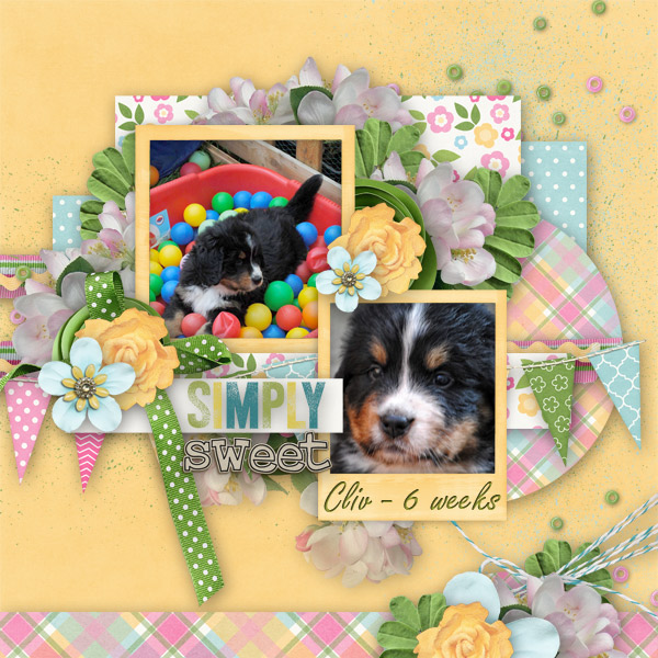 Cliv 6 weeks