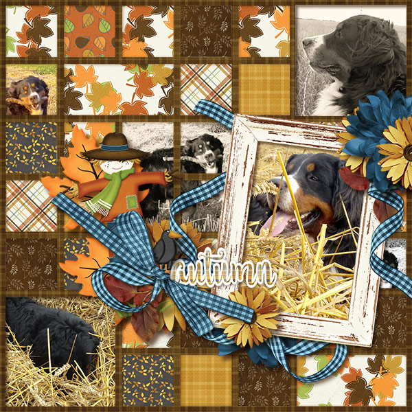 Cliv S AutumnFun