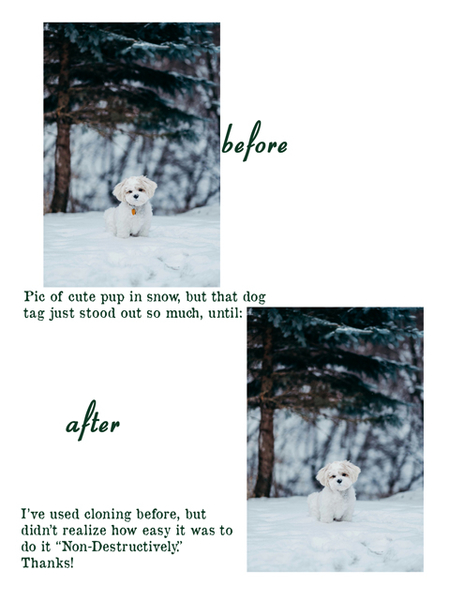 Cloning Non-Destructively