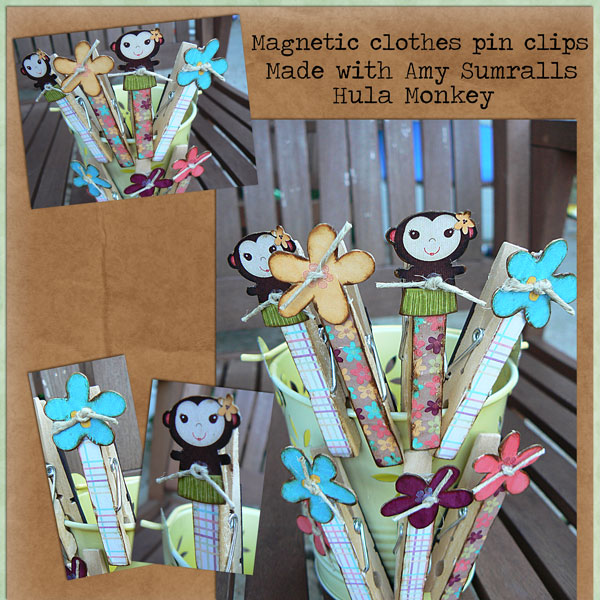 Clothes Pin Clips/Magnets