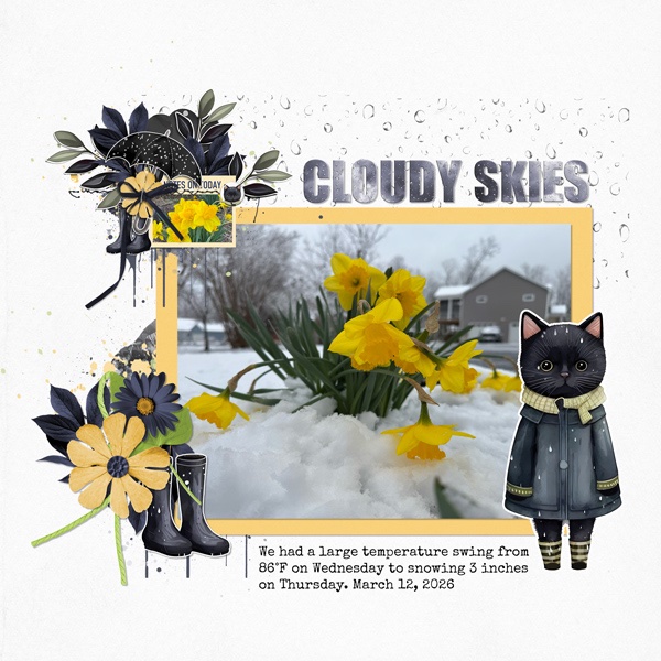Cloudy Skies