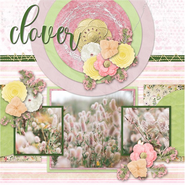 Clover