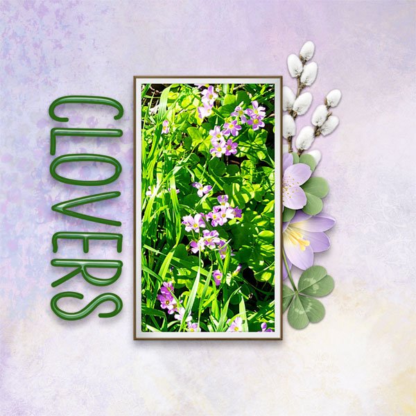 Clovers