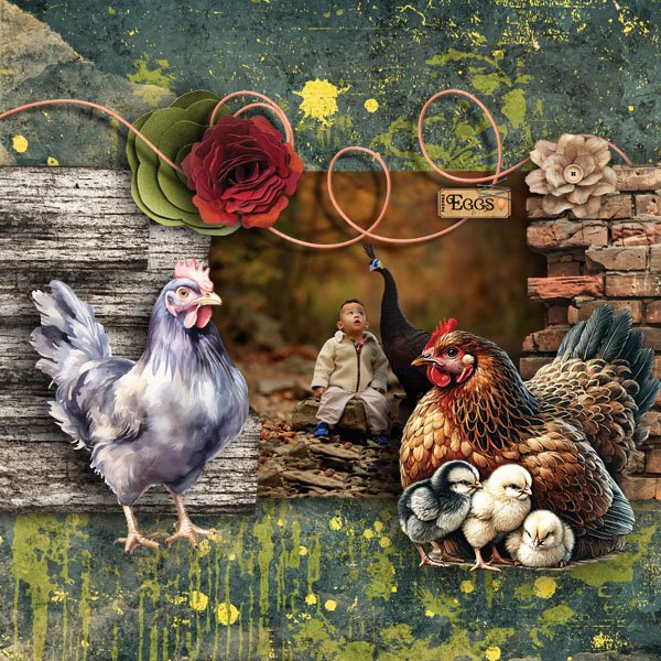 Cluck A Doodle Doo