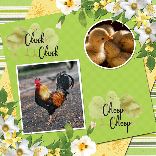 Cluck Cluck Cheep Cheep