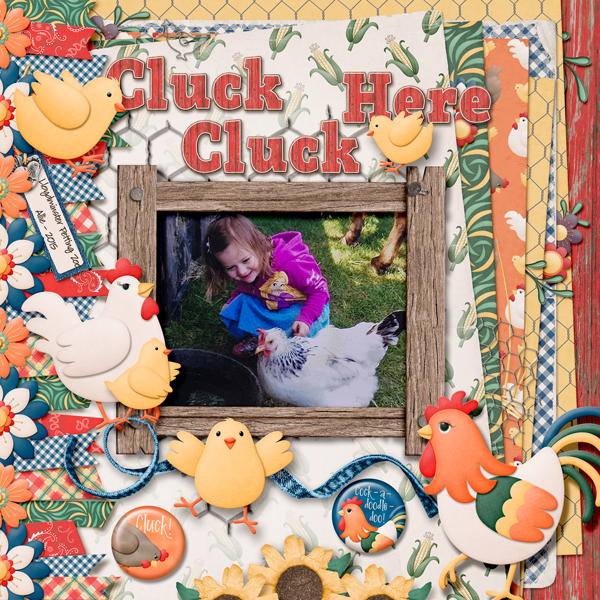 Cluck Cluck Here