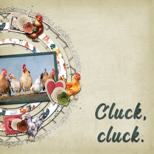 Cluck, cluck.