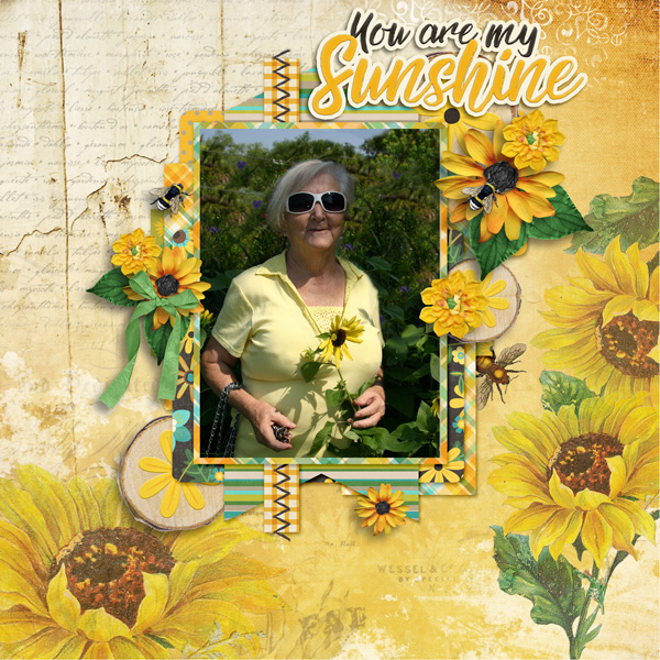 Clustered #3 Template Set by Aimee Harrison