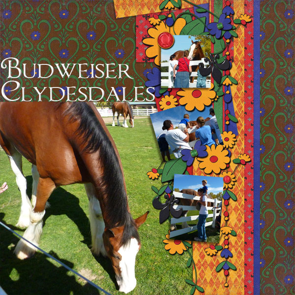 Clydesdales