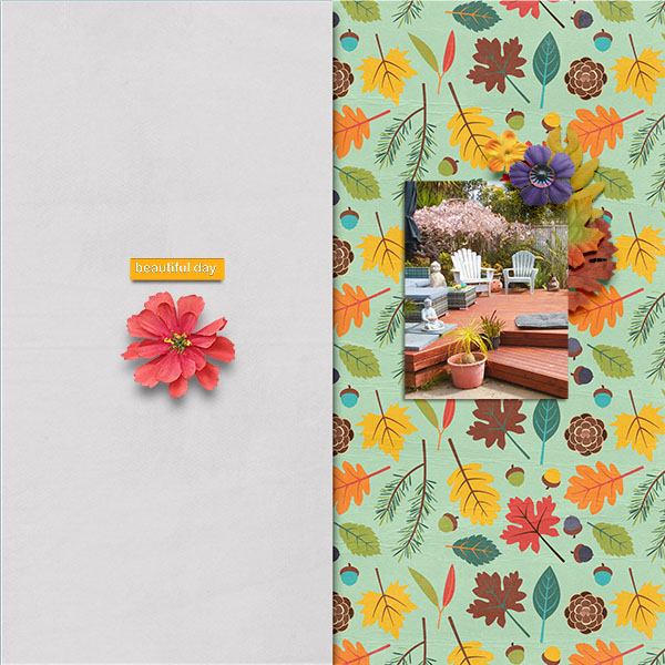 CMG_AutumnFresh_sgdsd2018