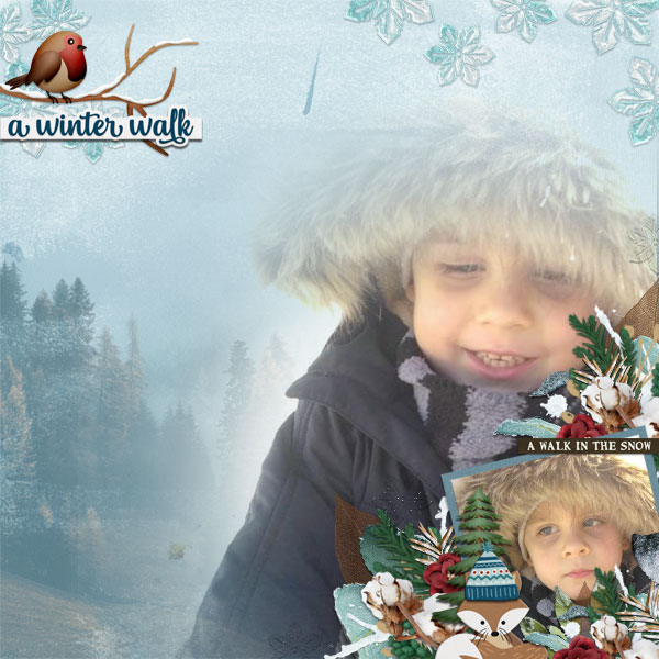 cmg_wendyp-winterwalk_tcot600