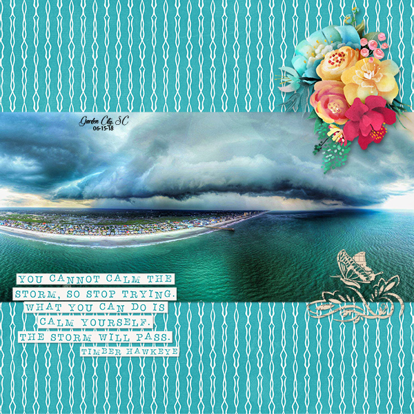 Coastal Storm
