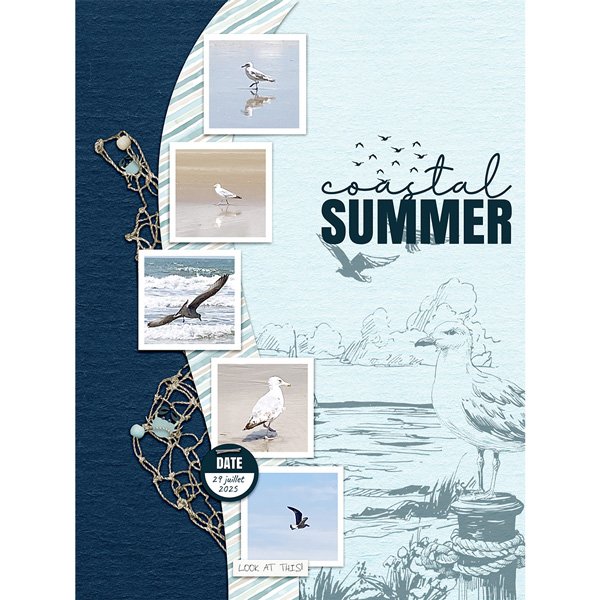 Coastal summer