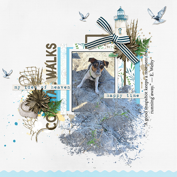 Coastal Walk