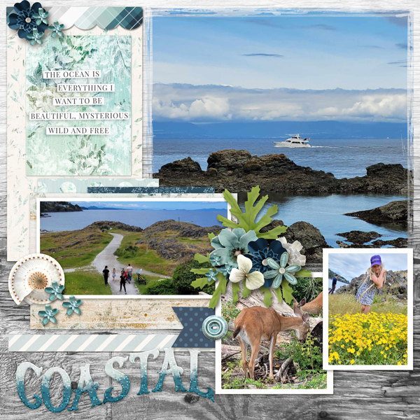 Coastal walk