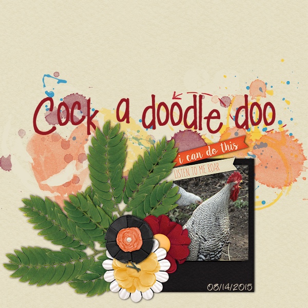 Cock a Doodle Doo