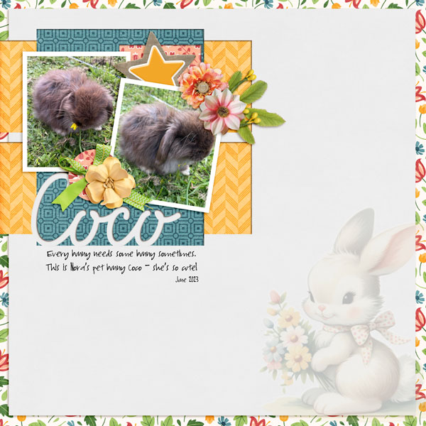 Coco