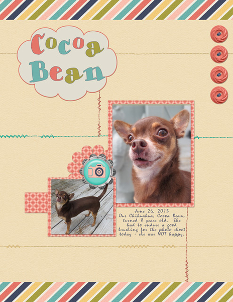 Cocoa Bean